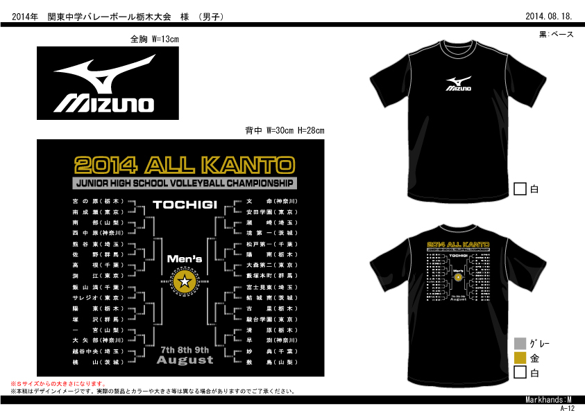 限定　激レア　バレーボール　tシャツ 関東大会　高校